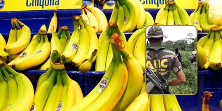 Corte en los EE.UU condena a la multinacional Chiquita Brands por financiar a las AUC en Colombia