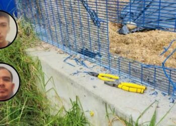 Inpec confirmó la fuga de dos reclusos de alta peligrosidad de la cárcel La Picota de Bogotá