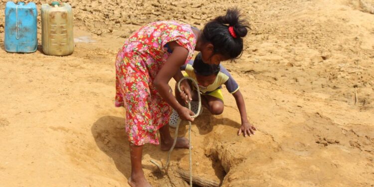 Qué horror ver niños wayuú consumiendo agua turbia de jagüey