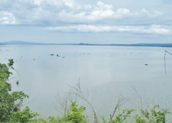 Manos a la obra con El Guájaro