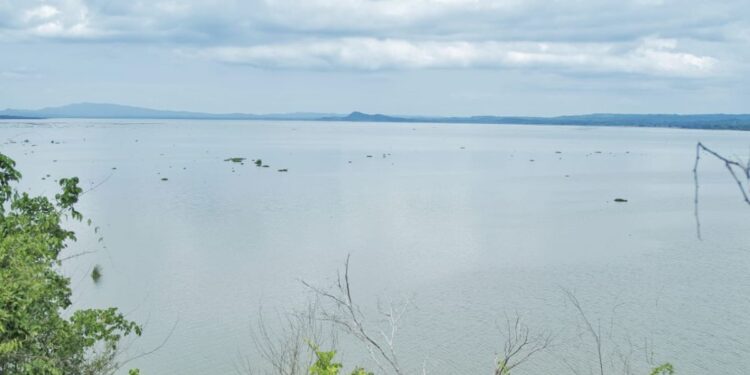 Manos a la obra con El Guájaro