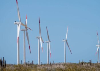 Contraloría de Bogotá investigará en La Guajira suspensión del proyecto Parque Eólico Windpeshi