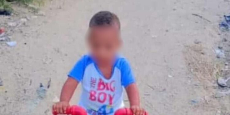 Menor de dos años murió por inmersión en la alberca de su residencia en Camarones