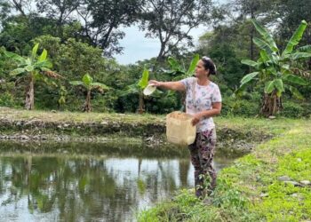 Unión Europea aprueba proyecto piscícola para los firmantes de paz en Conejo, La Guajira
