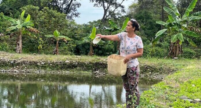 Unión Europea aprueba proyecto piscícola para los firmantes de paz en Conejo, La Guajira