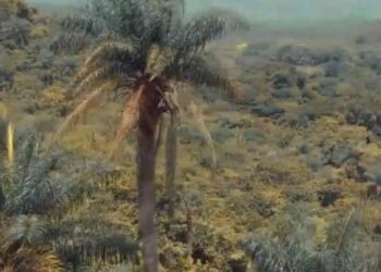 Corpoguajira declara a Caracolí Sabanas de Manuela como nueva área protegida