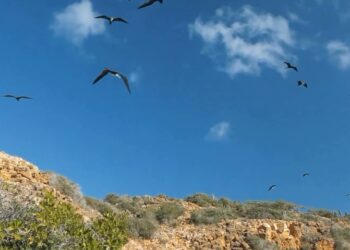 Corpoguajira promociona a nivel nacional las riquezas ambientales del Departamento