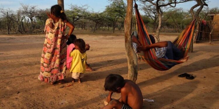 Desnutrición: la muerte lenta de 22 niños en La Guajira este 2024