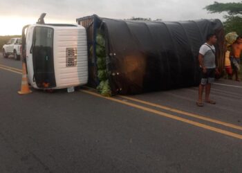 Varios chivos que se atravesaron en la vía Riohacha – Dibulla originó volcamiento de camión
