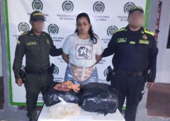 Con 70 kilos de carne de tortuga fue capturada una mujer en la vía Maicao – Riohacha