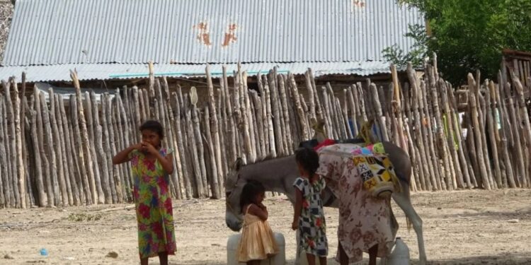 La tragedia oculta de los indígenas ‘no resguardados’