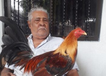 Hernando Rafael “Nandi” Lubo Pérez, gallero por excelencia