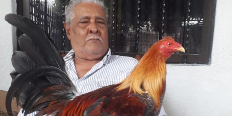 Hernando Rafael “Nandi” Lubo Pérez, gallero por excelencia