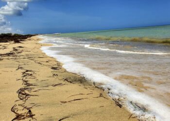 Playas de Poportin fueron aprobadas como de vocación turística