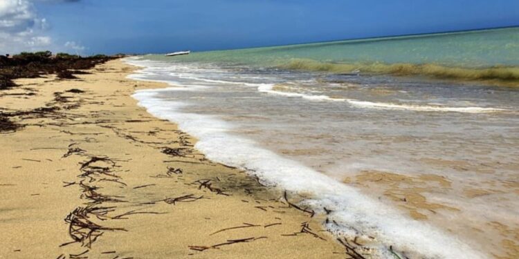 Playas de Poportin fueron aprobadas como de vocación turística