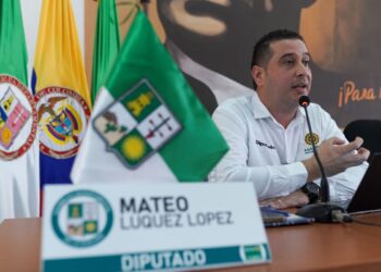 Diputado Mateo Luquez lideró sesión por crisis comercial en zona del Régimen Especial Aduanero
