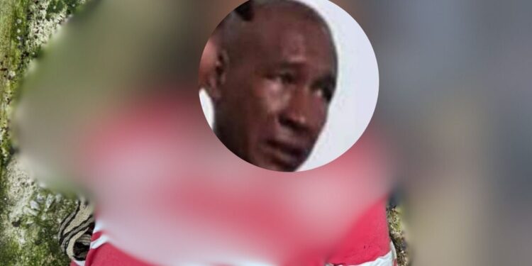 Asesinan a un hombre de 56 años dentro de una finca en zona rural de Albania