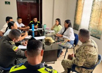 Consejo de Seguridad Extraordinario aborda medidas para la protección en La Jagua del Pilar