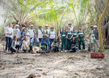 Corpoguajira, Petrobras y Más Bosques sembraron 650 mangles en Palomino