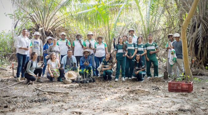Corpoguajira, Petrobras y Más Bosques sembraron 650 mangles en Palomino