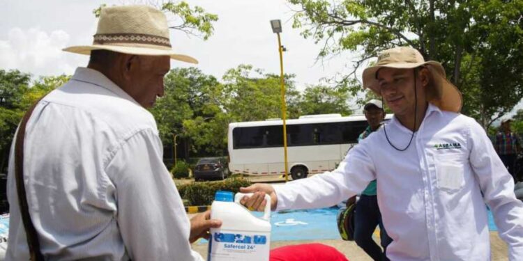 Fortalecen esquemas de bioseguridad de pequeños cultivadores de banano y plátano en La Guajira