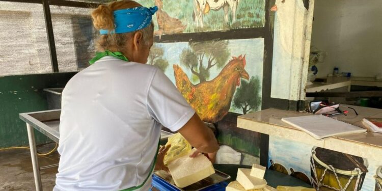 En La Guajira 323 personas se encuentran en proceso de reincorporación