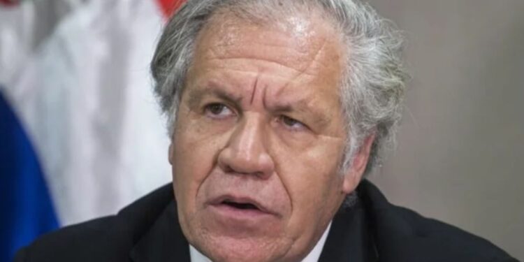 Luis Almagro, jefe de la OEA pedirá orden de arresto contra Maduro
