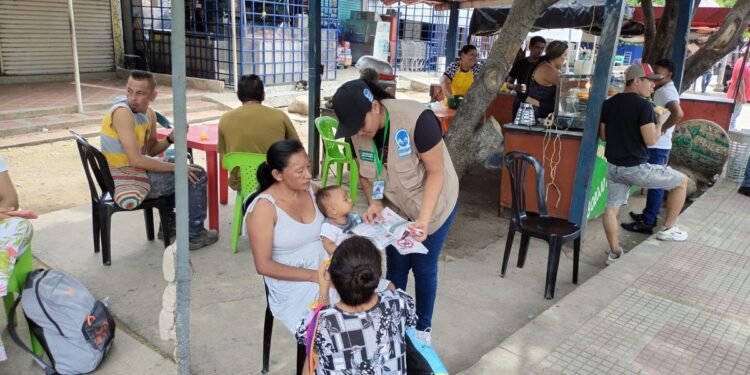 Gobernación de La Guajira continúa realizando acciones para mitigar el Dengue