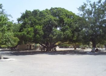 La muerte de los titanes de pie pequeño