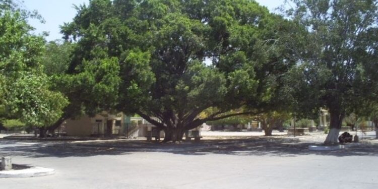 La muerte de los titanes de pie pequeño