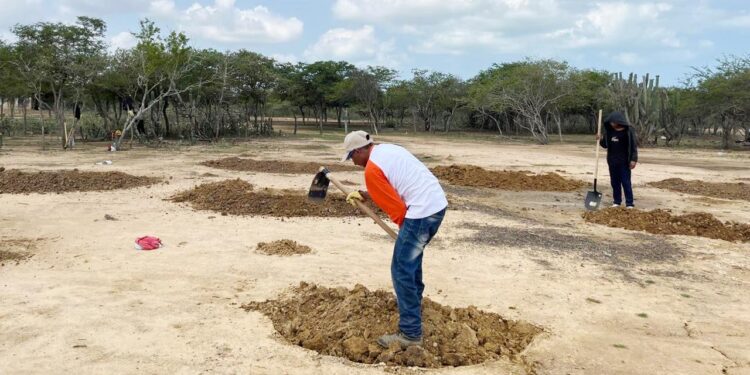 Proyecto ‘Renace La Guajira’ impulsa la restauración ecológica para transformar comunidades