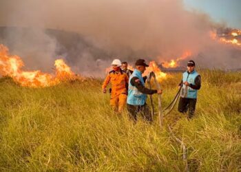 Colombia enfrenta ola de incendios forestales:  7.758 hectáreas afectadas en 18 municipios