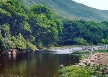 En zona rural de Distracción hallan en estado de descomposición a joven que era oriundo de Maracaibo  