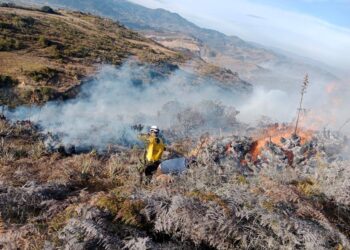 Defensoría del Pueblo alerta sobre crisis ambiental por incendios forestales en cuatro departamentos