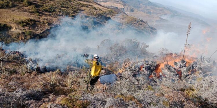 Defensoría del Pueblo alerta sobre crisis ambiental por incendios forestales en cuatro departamentos