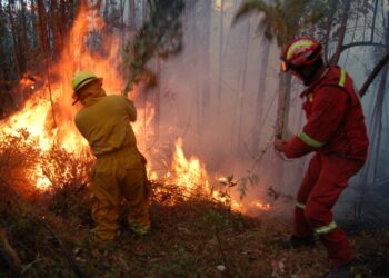 Persisten incendios forestales en cinco departamentos del país: Tolima, el más afectado