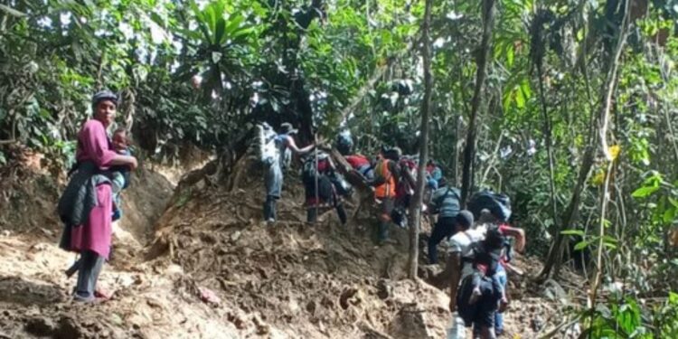 Capturan a los homicidas de un migrante haitiano que intentaba pasar el Tapón del Darién