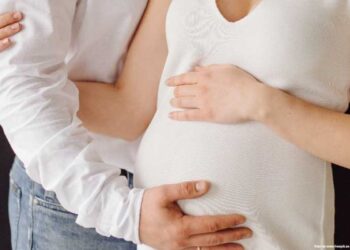 Procuradora General solicitó ampliar protección laboral de las parejas de mujeres embarazadas