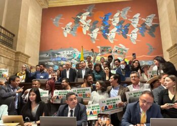 Un sistema que necesita cura