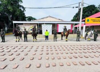 Casi dos toneladas de marihuana fueron incautados en zona rural de La Jagua del Pilar