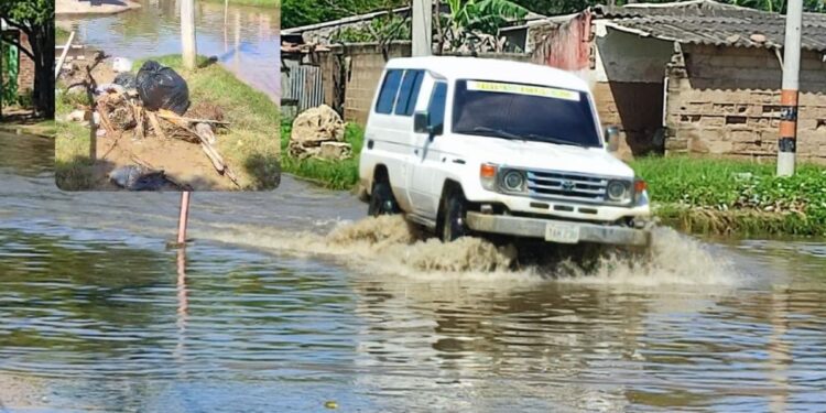 Habitantes del barrio 7 de agosto sobreviven entre la basura y las aguas estancadas