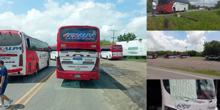 Transportadores de buses protestan por derecho al trabajo e inseguridad en las vías de La Guajira