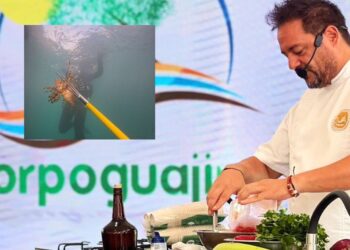 Corpoguajira promueve en la COP16 la pesca y consumo del pez León
