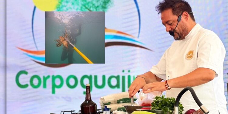 Corpoguajira promueve en la COP16 la pesca y consumo del pez León