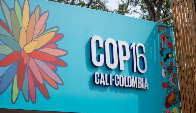 COP16 en Cali: Semana clave para la conservación de la biodiversidad
