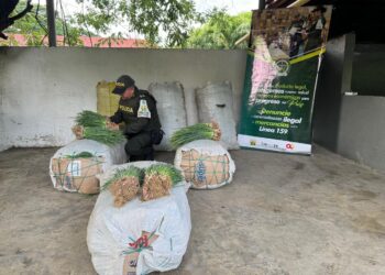 Incautan más de una tonelada de alimentos perecederos de contrabando en vías de La Guajira