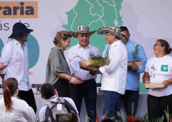 Gobierno avanza en la entrega de tierras a campesinos: 50.000 hectáreas previstas para este mes