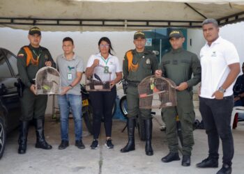 Policía incauta aves en Riohacha y hace un llamado a la conciencia ambiental