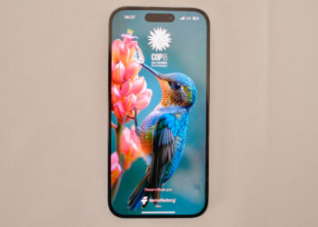 MinTIC lanzó ‘COP16: Paz con la naturaleza’, la aplicación oficial de la cumbre que se realizará en Cali