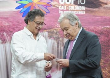 Secretario general de la ONU respalda propuesta del presidente Petro de comprar la hoja de coca